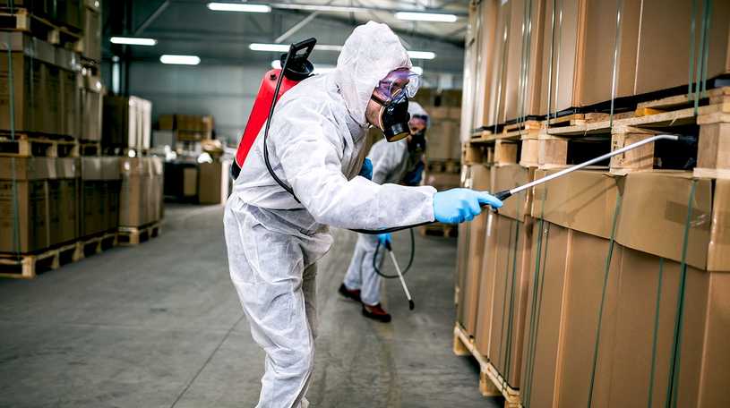 pest control worker in a white pest control suit spraying pesticide into a crate