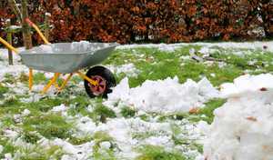 What do landscapers and gardeners do to survive the winter?