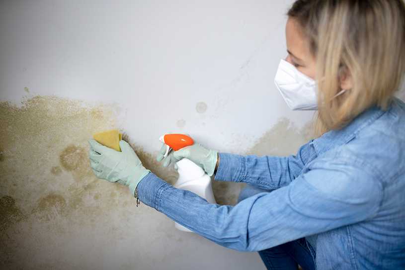 Woman cleaning mould off a wall in a rental property
