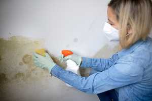 How to remove mould in your rental property