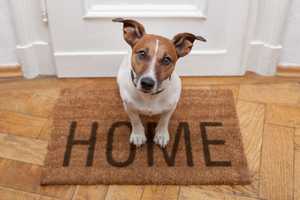 Do landlords have to accept tenants with pets?
