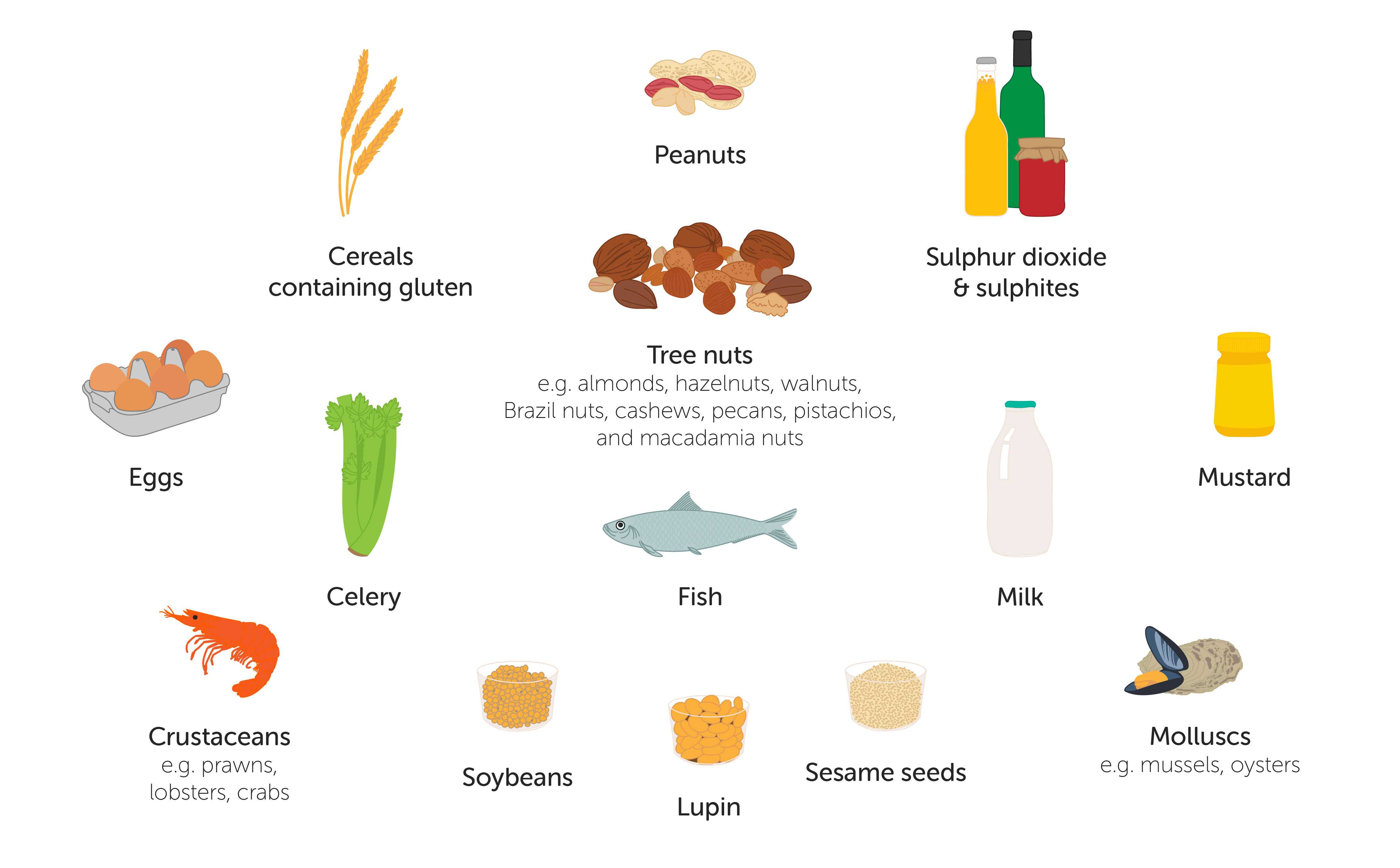 The 14 major food allergens