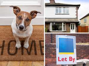 Pet friendly rentals: can they increase your buy-to-let income?