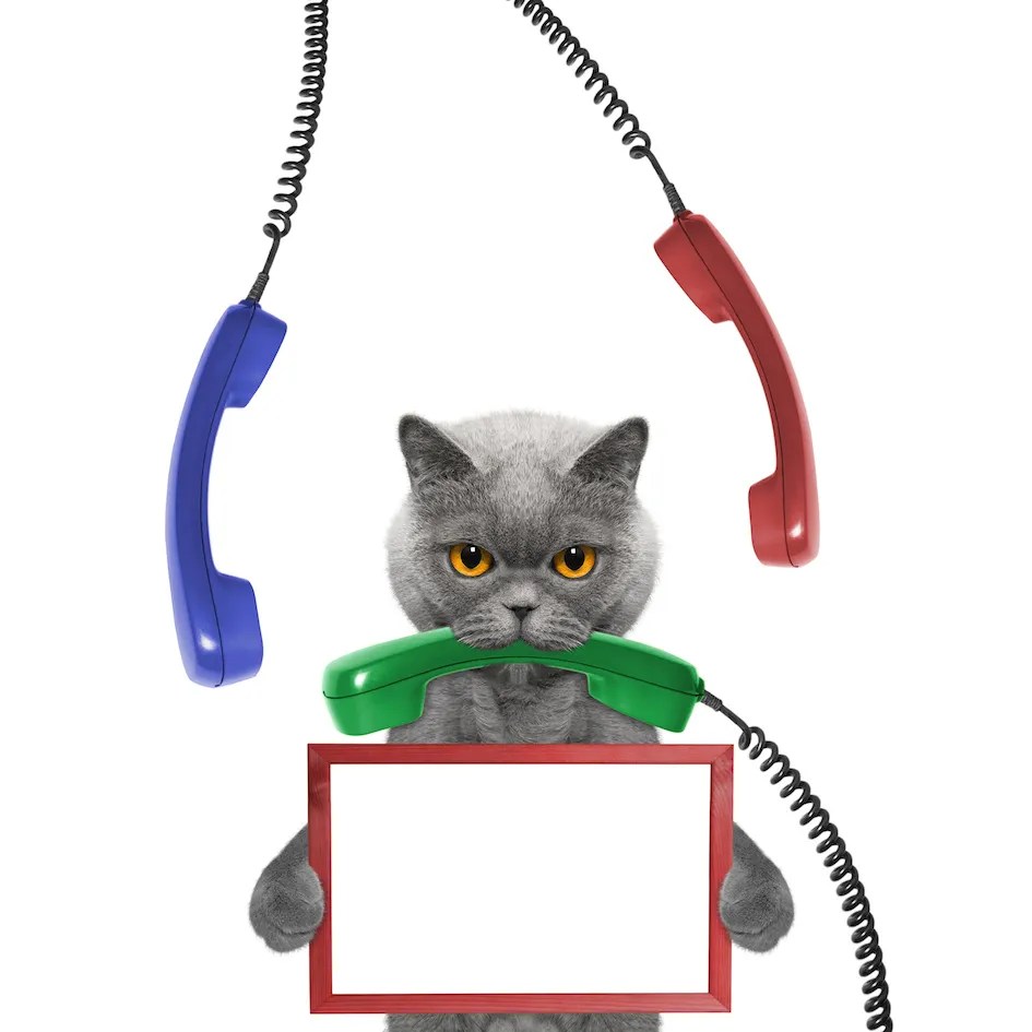 Cat3