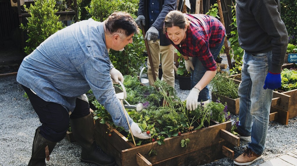 Watering plants