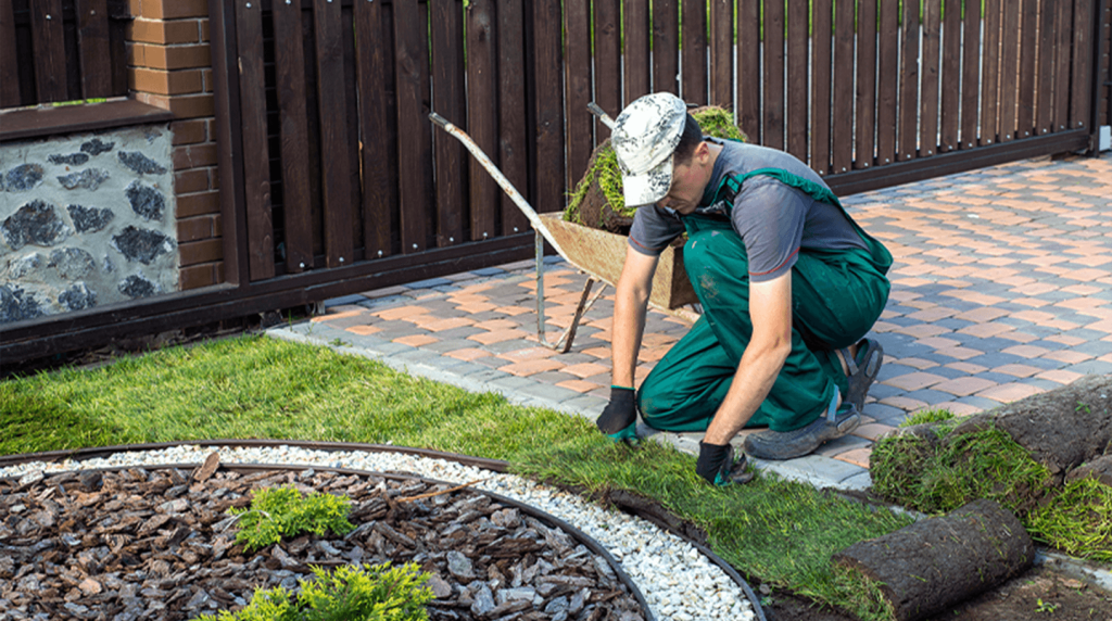 Landscape gardener laying turf in a garden