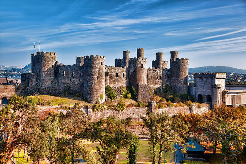 Small businesses in Wales can access Welsh business grants