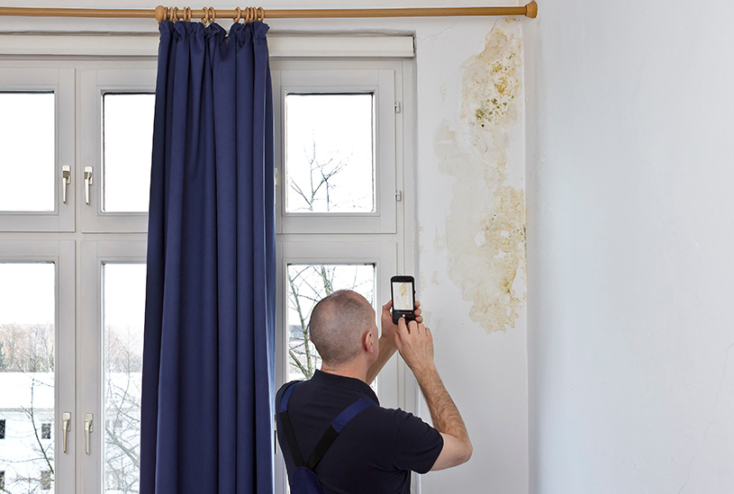 Landlord taking photos of mould in a property