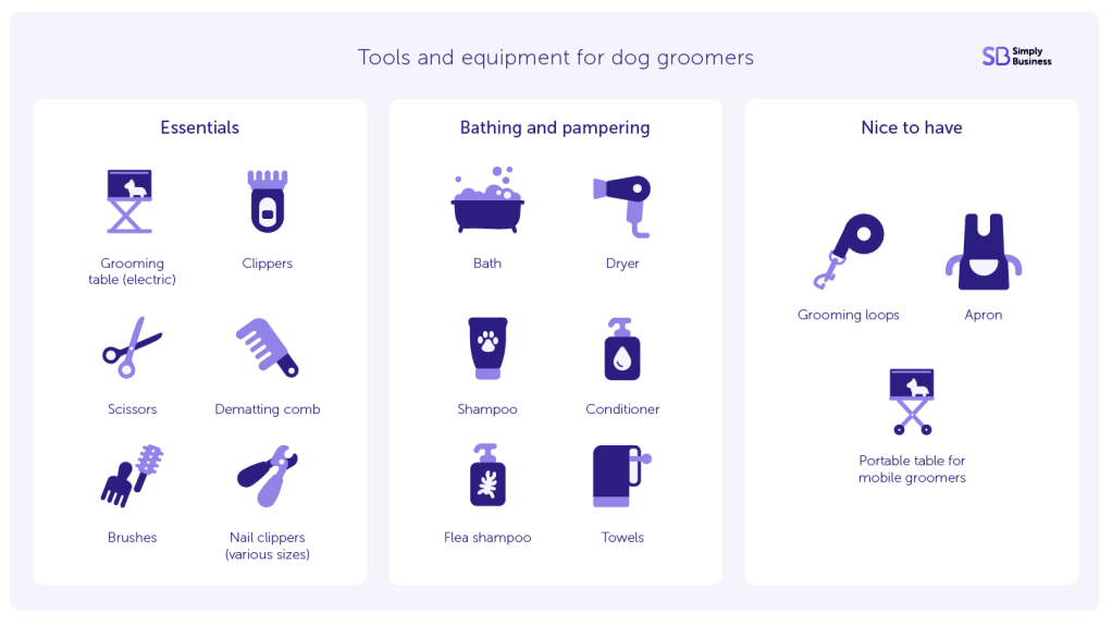 Infographic showing the tools and equipment for dog groomers