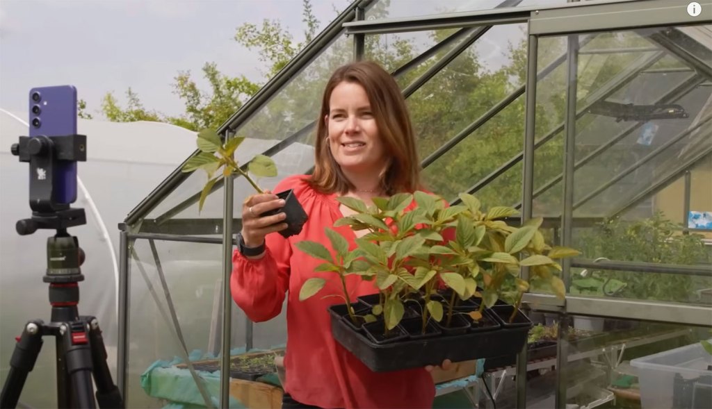 Abi at Blackdown Blooms flower farm filming a social media video for her floristry business