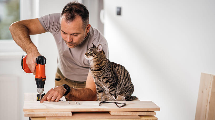 A tradesman works with a customer's cat supervising the job